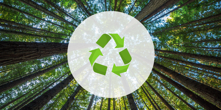 Go Green xina ai is committed to saving trees